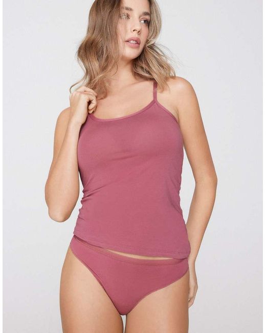 Tezenis Purple Plain Colour Cotton Brazilian Briefs