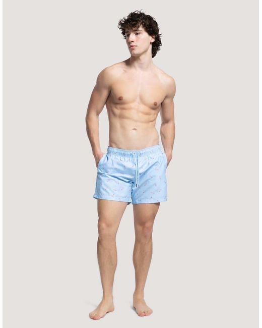 Apreslife Blue Twister Swimshorts for men