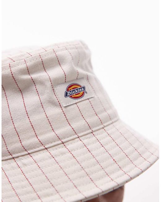 Dickies Brown Striped Bucket Hat for men