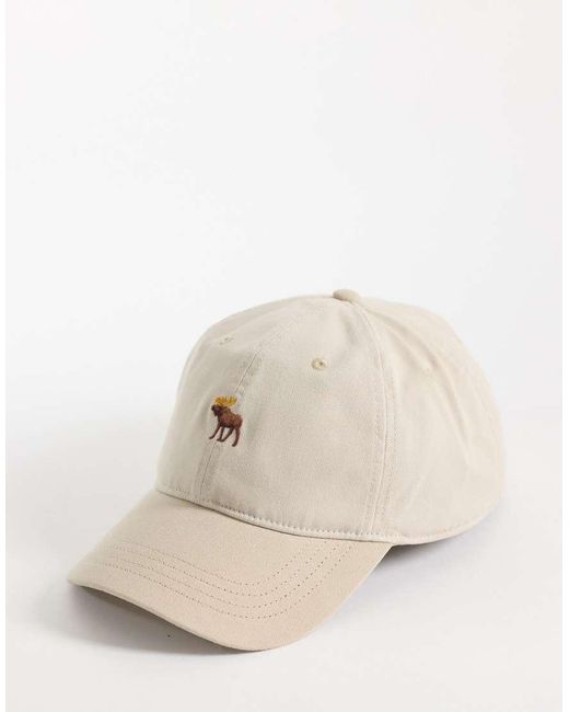 Abercrombie & Fitch Natural Ico Logo Cap for men