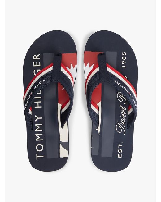 Tommy Hilfiger Blue Stripe Webbing Strap Flip-Flops for men