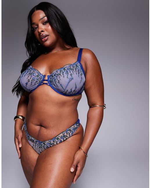 ASOS Blue Asos Design Curve Noa Premium Embroidery Thong
