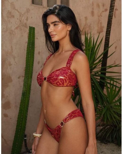 Moda Minx Brown X Zoe Servini Bralette Bikini Top