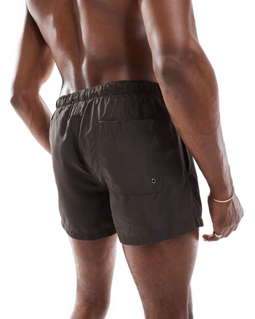 Brave Soul Brown Swim Trunks for men