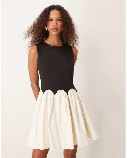 Never Fully Dressed Multicolor Contrast Drop Hem Mini Dress