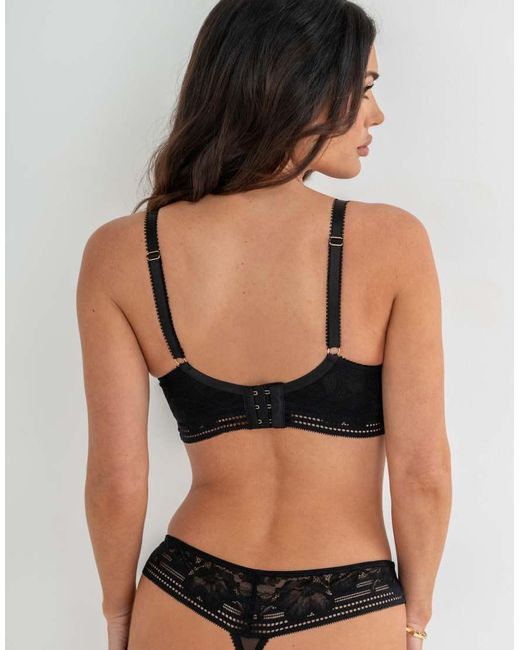 Pour Moi Black Taylor Lace High Apex Push Up Padded Plunge Bra