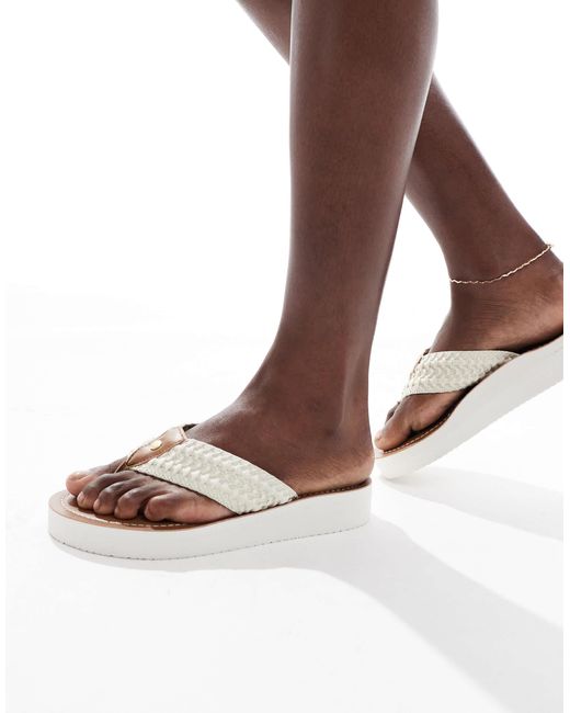 Barbour Brown Kelburn Flip Flops