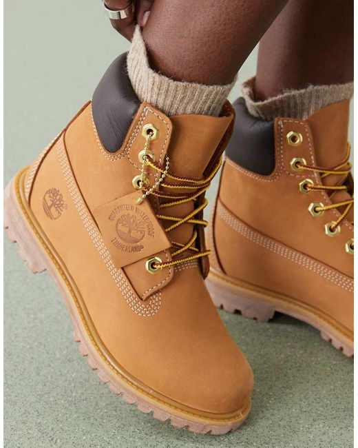 Botas De 6" De Cuero Nobuk Premium De -Beis Neutro Timberland de color Blue