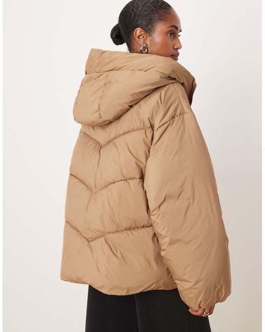 Mango Natural Puffer Jacket With Hood