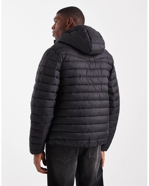 Threadbare Black Funnel Neck Puffer Jacket for men