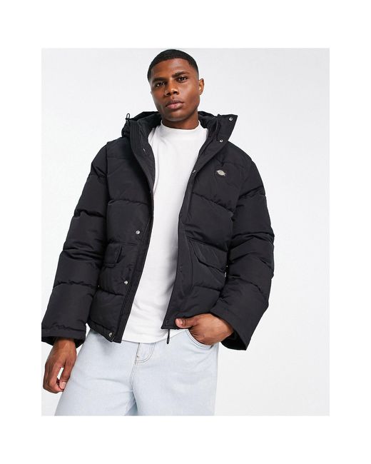 Dickies Glacier View Puffer Jacket in Blue for Men | Lyst Canada