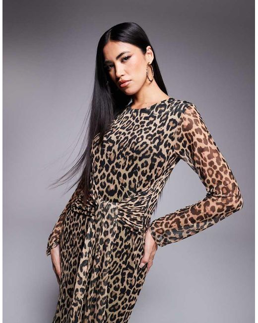 Never Fully Dressed Halflange Jurk Van Mesh Met Gestrikte Voorkant En Luipaardprint in het Brown