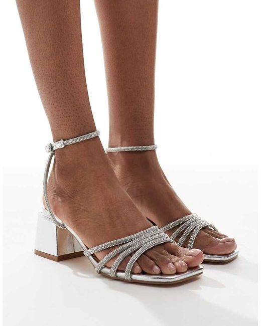 SEQWL Hippo in het Brown