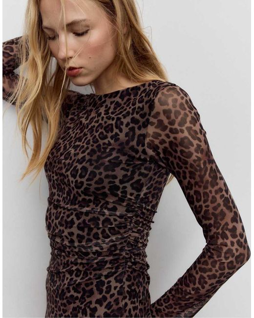 Stradivarius Brown Short Printed Tulle Dress