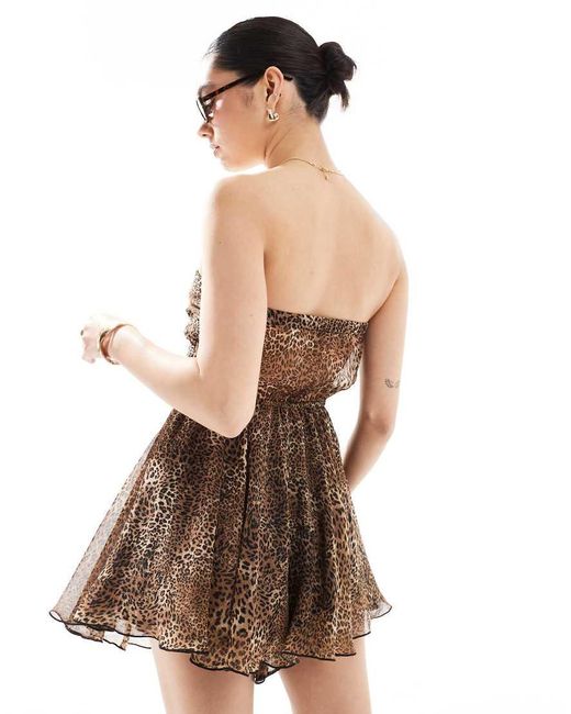 Miss Selfridge Strandplaysuit Van Chiffon Met Gestrikte Voorkant En Luipaardprint in het Brown