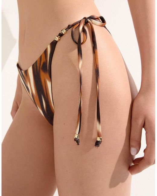 Calzedonia Brown Savage Shades