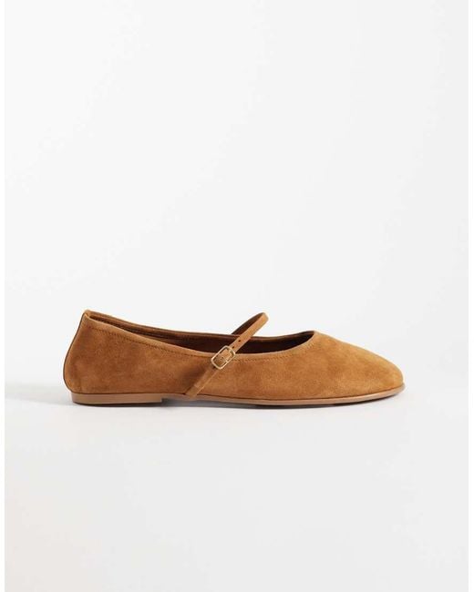 Steve Madden Brown Besette Ballet Flats