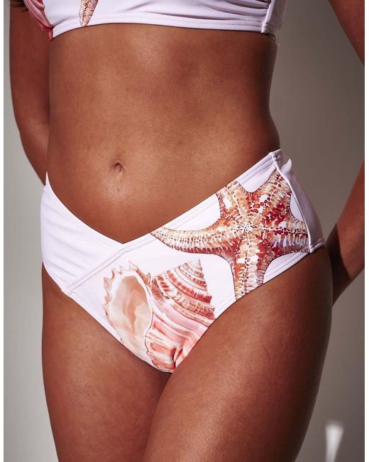 South Beach Brown Seashell Printed Bandeau Bikini Set