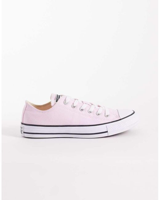Converse White Chuck Taylor All Star Ox Trainers