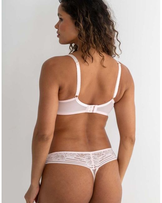 Pour Moi Brown Taylor Lace V Front Thong- Soft