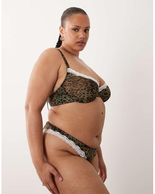 ASOS Brown Asos Design Curve Savannah Sheer Mesh Leopard Print Brazilian With Cream Lace Trim
