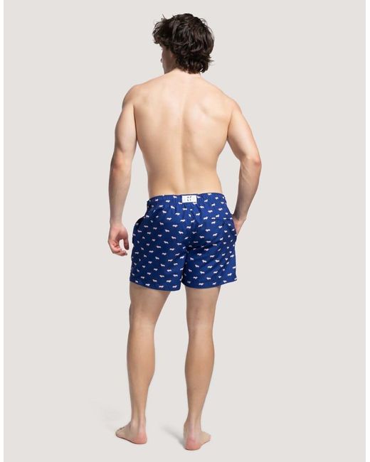 Apreslife Blue Pigs Swim Shorts for men