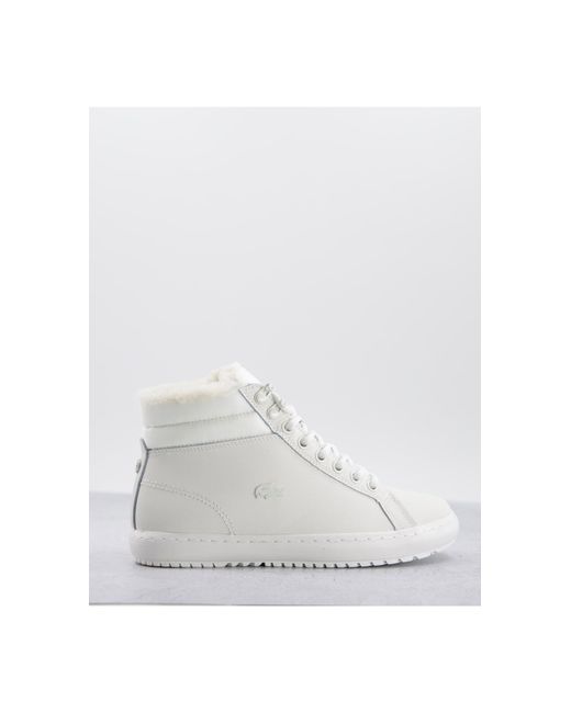lacoste top trainers