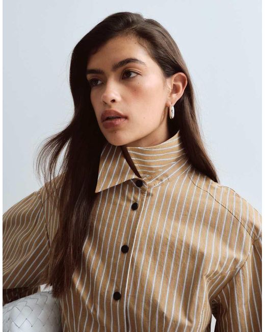 ARRANGE Multicolor Structured Collared Peplum Shirt With Contrast Buttons