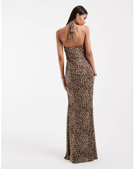 ASOS Brown Printed Leopard Mesh Dress With Sweetheart Halter Neckline
