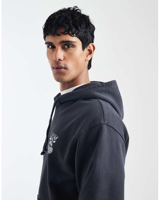 Levi's Blue Back Graphic Relaxed Hoodie for men