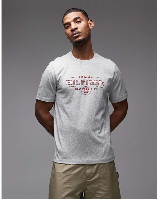 Tommy Hilfiger Gray Heritage Graphic T-shirt for men