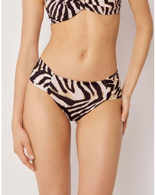 Calzedonia Black Bikini Bottoms Savannah Zebra