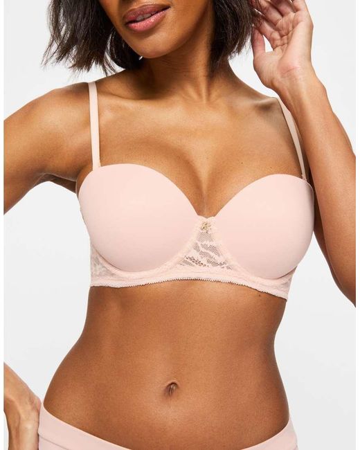 KBX Brown Charlotte Padded Strapless Bra