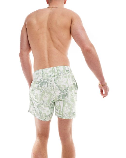 Hollister Green 5inch Printed Swim Shorts for men