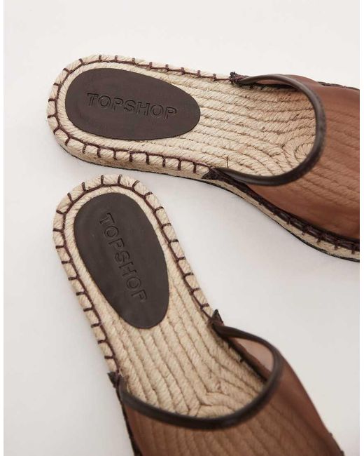 Harry di TOPSHOP in Brown