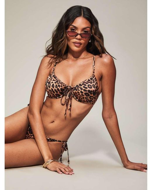 KBX Brown Knickerbox Collections Print Wired Bikini Top