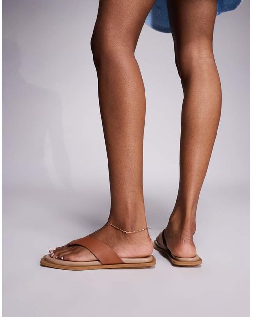 Steve Madden Brown Splash Thong Sandals