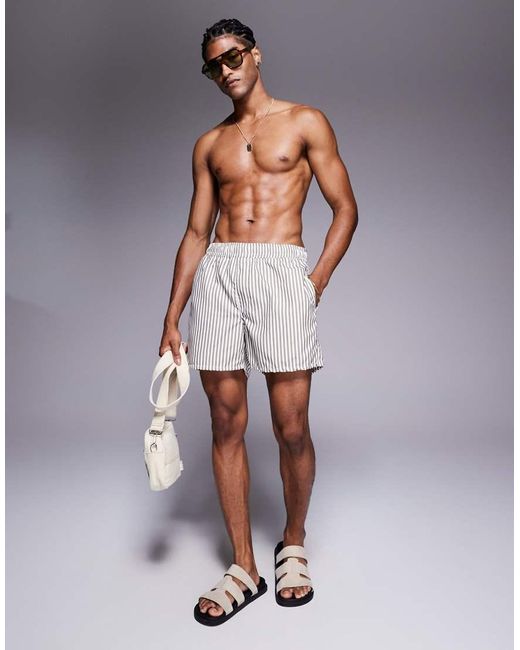 ASOS Gray Swim Shorts for men