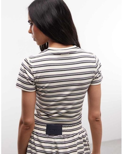 CERNUCCI Multicolor Crop Top
