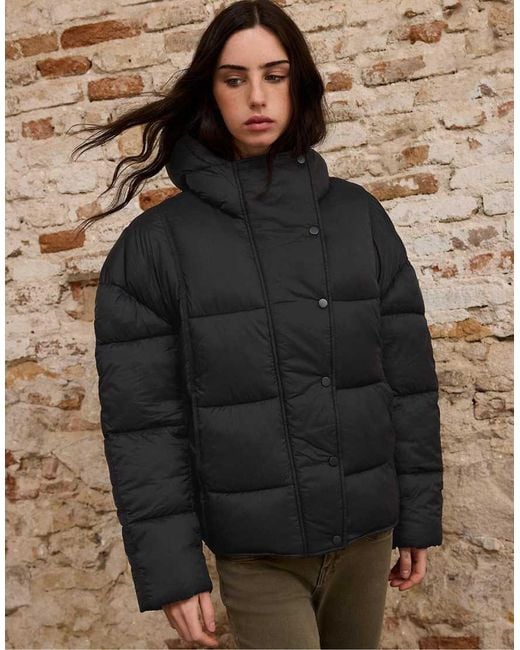 Stradivarius Brown Hooded Puffer Jacket