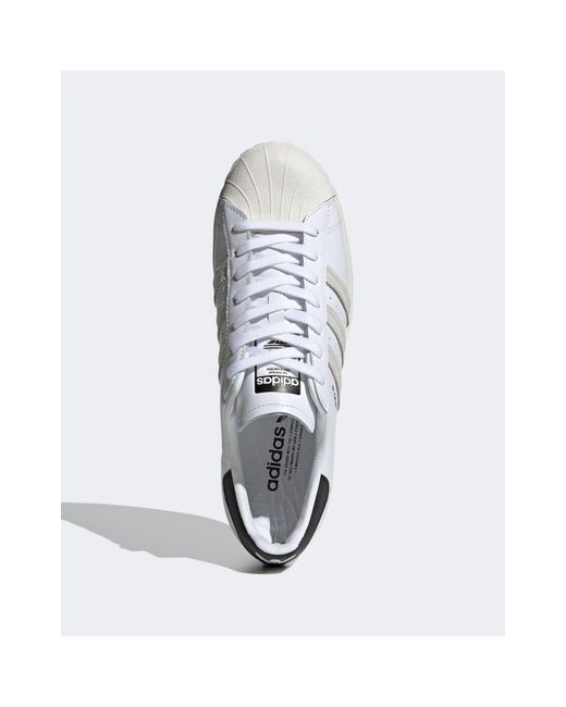 Sigseries Superstar Sneakers in White 