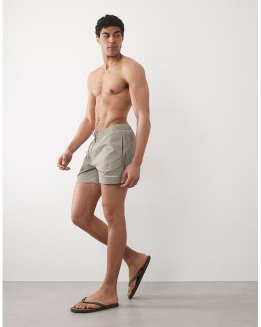 Champion Gray Swim Shorts for men
