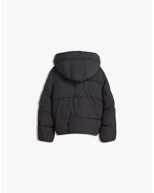 Bershka Gewatteerd Jack Met Capuchon in het Blue