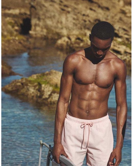 Pull&Bear Brown Seersucker Swim Shorts for men