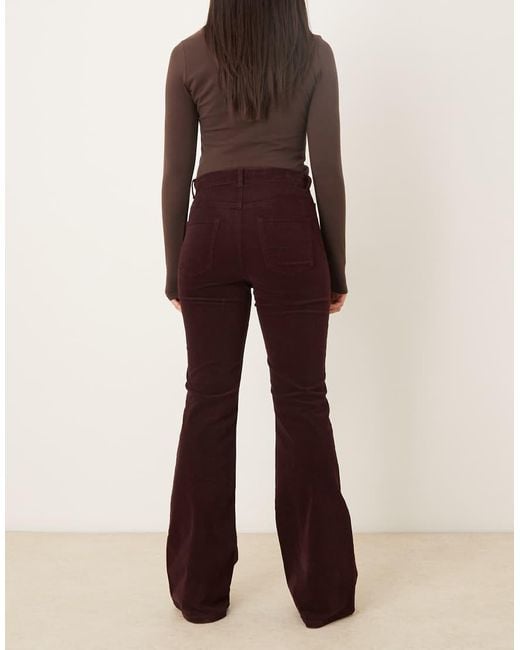 Mango Multicolor Violetav 100% Cotton Flared Jean
