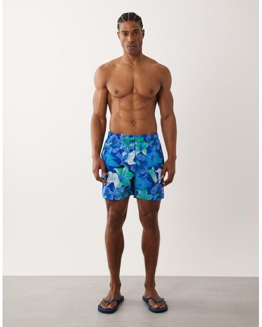 Speedo Blue Printed 16' Redondo Edge Swim Shorts for men