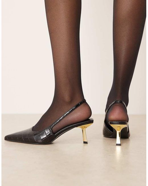 Raid Laura in het Brown