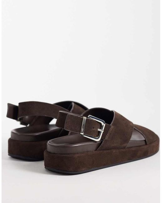 Schuh Brown Tennessee Cross Over Sandals With Heel Strap And Buckle Detailing