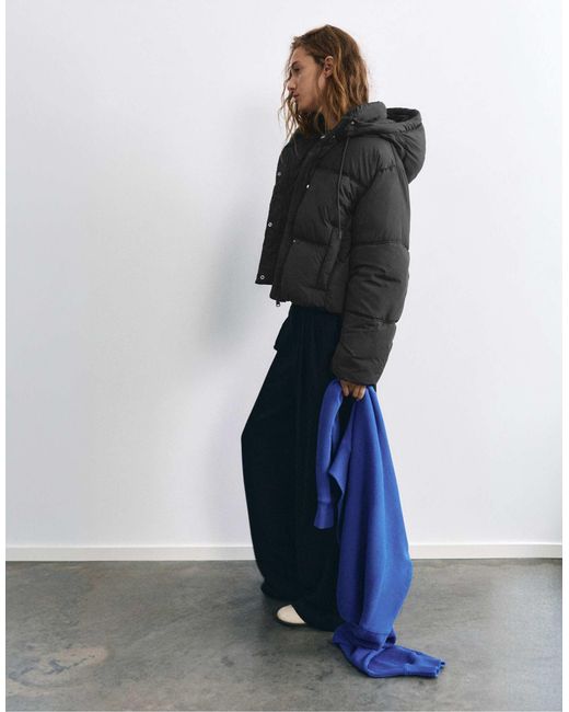 Doudoune courte à capuche e Pull&Bear en coloris Blue