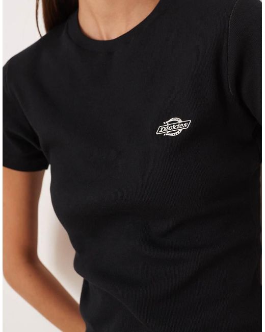 Dickies Gladeville in het Black